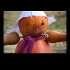 Magyar Pumpkins_Nov 5_2011_5680_2x2