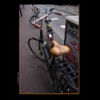 Amsterdam bikes_Nov 8_2011_6712_2x2