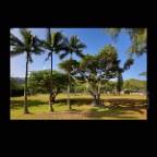 Hawaii North Shore_Nov 23_2012_C8353_2x2