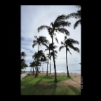 Hawaii Waikiki_Nov 25_2012_C1065_2x2