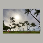 Hawaii_Nov 25_2012_HDR_C1103_2x2