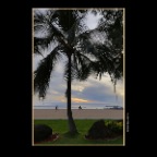 Hawaii Waikiki_Nov 25_2012_HDR_C1371_2x2