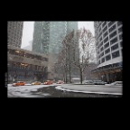 Downtown Bldgs SnowTrees_Jan 16_2012_8444_2x2