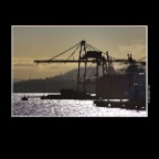 Coal Harbor Cranes_Apr 15_2014_HDR_E3230_2x2