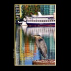 Crane 4.5 View_Vancouver_Jun 6_2016_HDR_K8402_peTiffany_2x2