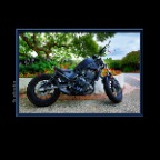 Honda Bike_Jul 24_2019_HDR_E0867_peExpMrg&Sat&Glo_2x2