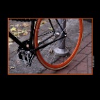 Bike_Nov 08_2x2