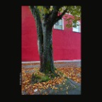 Benny's Mkt Tree_Oct 21_2012_HDR_C1078_2x2