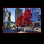 CanPlaceTree_Oct 6_2012_HDR_C7863_2x2