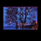 English Bay Tree_Dec 25_2012_HDR_C6643_2x2