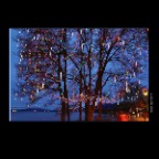 English Bay Tree_Dec 25_2012_HDR_C6647_2x2