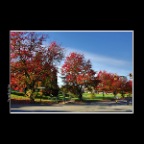 Fall Leaves on GdwHwy_Oct 14_2015_HDR_H5031_2x2