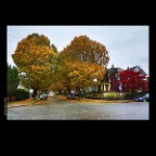 Fall Leaves_Nov 4_2012_HDR_C3446_2x2