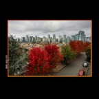 Cambie Bg LkgNW Trees_Oct 9_2016_HDR_A1774_2x2