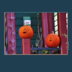 Pumpkins_Oct 30_2013_HDR_D2196_2x2