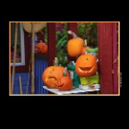 Pumpkins_Oct 30_2013_HDR_D2208_2x2