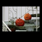 Pumpkin Heads_2552_2x2