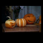 Pumpkins_Oct 30_2010_3933_2x2