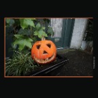 Pumpkin Heads_Nov 14_2011_2114_2x2