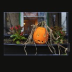 Pumpkins Strathcona_Oct 31_2012_HDR_C2618_2x2