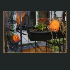 Pumpkins Strathcona_Oct 31_2012_HDR_C2622_2x2
