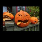Pumpkins_Oct 31_2012_HDR_C2646_2x2