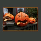 Pumpkins_Oct 31_2012_C2643_2x2
