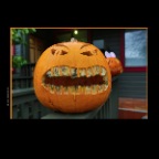 Pumpkins_Oct 31_2012_HDR_C2650_2x2