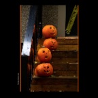 Pumpkins_Nov 1_2012_1131_2x2
