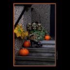 Pumpkins_Nov 1_2012_1156_2x2