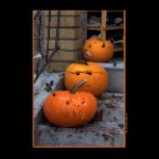Pumpkins_Nov 1_2012_1180_2x2