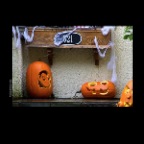 Pumpkins_Nov 1_2012_1236_2x2