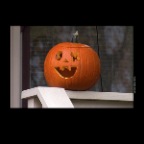 Pumpkins_Nov 1_2012_1242_2x2