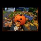 Pumpkins_Nov 1_2012_HDR_C2982_2x2
