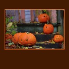 700 Jackson Pumpkins_Oct 28_2018_HDR_A0416_2x2