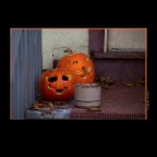 Pumpkins_Nov 10_2012_1365_2x2