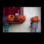 Pumpkins_Nov 10_2012_1369_2x2