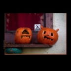 Pumpkins_Nov 10_2012_1367_2x2