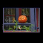 Pumpkin_Oct 19_2015_HDR_H6213_2x2