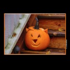 Halloween Pumpkin_Nov 3_2016_HDR_L1932_2x2
