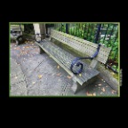Bench on W Hastings_Sep 12_2017_HDR_B3412_2x2