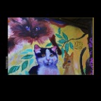Kits Cats Mural_Apr 18_2014_HDR_E4335_2x2