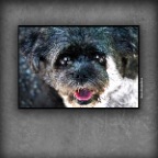 Zoey_New West_May 6_2018_CR2_C7472_pe_SmartContr_2x2
