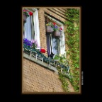 Kitty in Window_May 12_2019_HDR_A5114_2x2