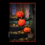 700 Jackson Pumpkins_Oct 28_2018_HDR_A0412_peIntns_2x2