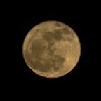 Full Moon_Feb 7_2012_9074p_2x2