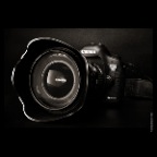 Canon 5D MkIII_Mar 29_2012_1106vP1_2x2
