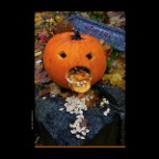 Pumpkins_Nov 1_2012_1262_2x2